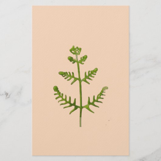 lente groen briefpapier (Voorkant)