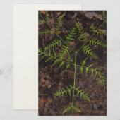 lente groen briefpapier (Voorkant / Achterkant)