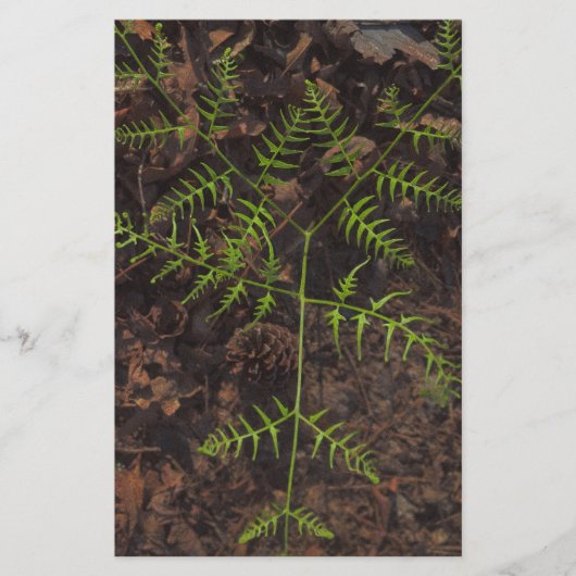 lente groen briefpapier (Voorkant)