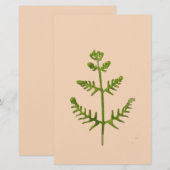 lente groen briefpapier (Voorkant / Achterkant)