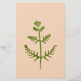lente groen briefpapier