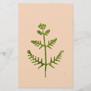 lente groen briefpapier