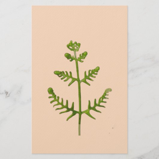 lente groen briefpapier (Voorkant)