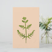 lente groen briefpapier (Staand voorkant)