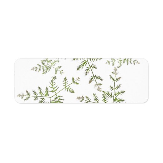 lente groen etiket (Voorkant)