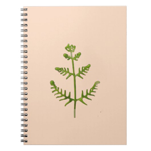 lente groen notitieboek (Voorkant)