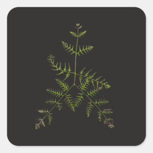 lente groen vierkante sticker