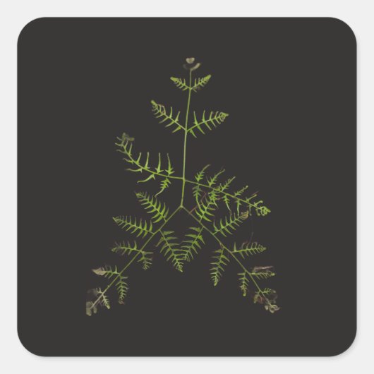 lente groen vierkante sticker (Voorkant)