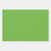 Lente groen & witte Chevron-huwelijksverjaardag Inpakpapier Vel (Voorkant 3)