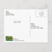 Lente groene reflecties komen snel goed briefkaart (Achterkant)