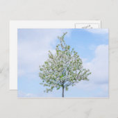 Lente - Happy Easter Feestdagenkaart (Voorkant / Achterkant)