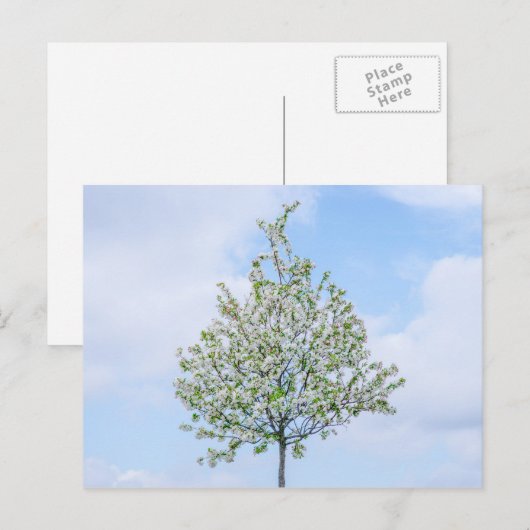 Lente - Happy Easter Feestdagenkaart (Voorkant / Achterkant)