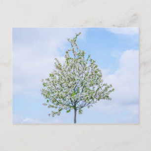 Lente - Happy Easter Feestdagenkaart