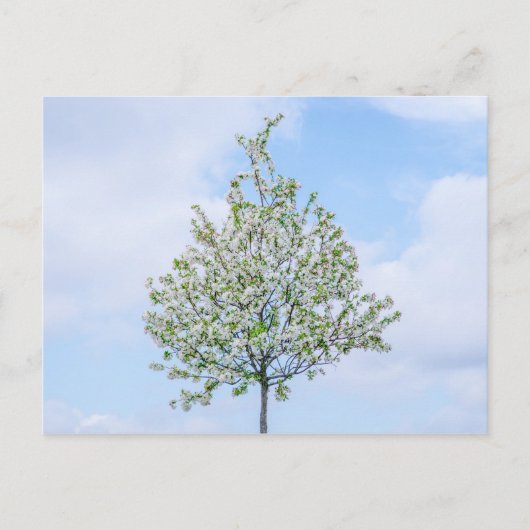 Lente - Happy Easter Feestdagenkaart (Voorkant)