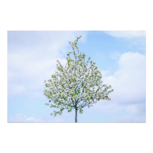 Lente - Happy Easter Foto Afdruk (Voorkant)