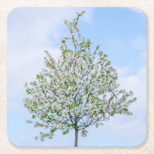 Lente - Happy Easter Kartonnen Onderzetters