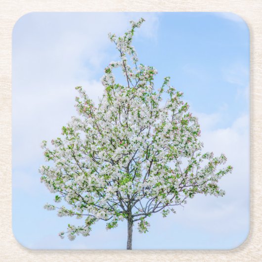 Lente - Happy Easter Kartonnen Onderzetters (Voorkant)