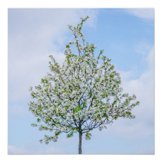 Lente - Happy Easter Poster (Voorkant)