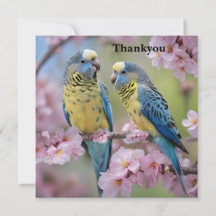 Lente Harmonie: Blauwe en Gele Budgies Bedankkaart