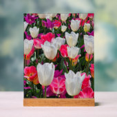 Lente in bloei acryl bord (Neutraal)