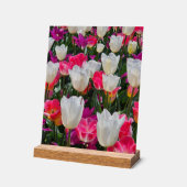 Lente in bloei acryl bord (Hoek)