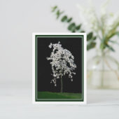 Lente in Bloom Briefkaart (Staand voorkant)