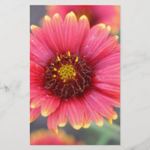 Lente in Bloom Briefpapier