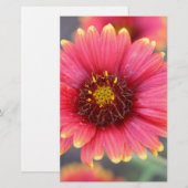 Lente in Bloom Briefpapier (Voorkant / Achterkant)