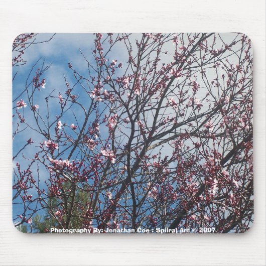 Lente in Bloom mousepad Muismat (Voorkant)