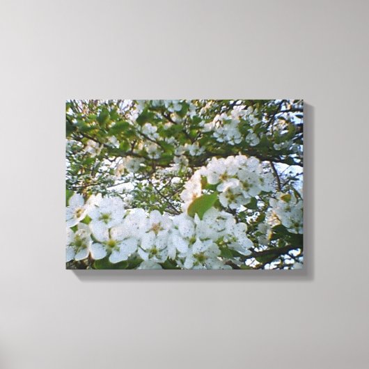 Lente in bloom Stretched Canvas Print (Voorkant)