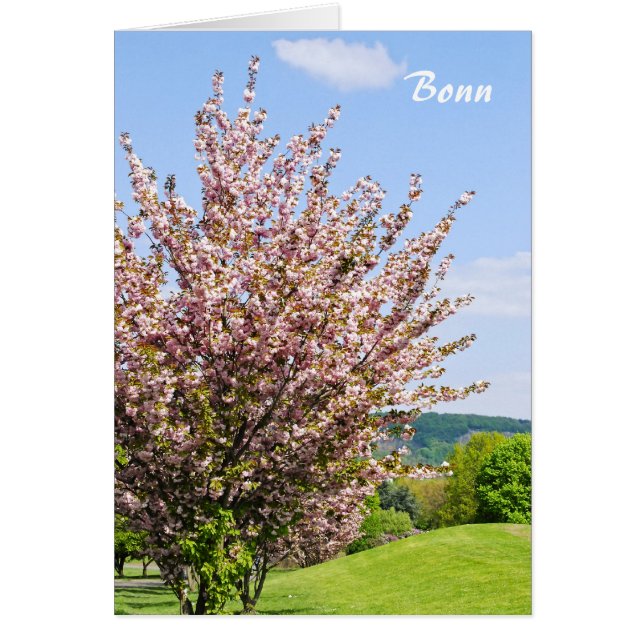 Lente in Bonn (Voorkant)