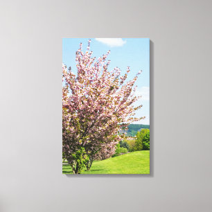 Lente in Bonn Gewikkeld Canvas Afdruk