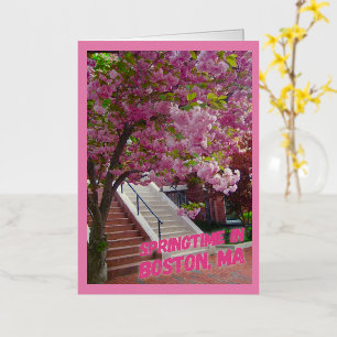 Lente in Boston, MA Folie Wenskaart
