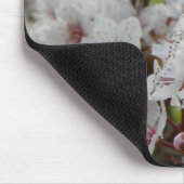 Lente in Canberra Muismat (Hoek)