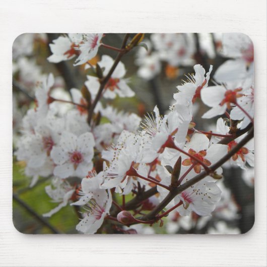 Lente in Canberra Muismat (Voorkant)