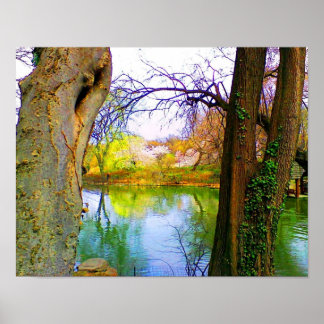 Lente in Central Park Poster