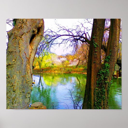 Lente in Central Park Poster (Voorkant)