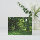 Lente in de Bossen 01 Briefkaart (Staand voorkant)