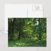 Lente in de Bossen 01 Briefkaart (Voorkant / Achterkant)
