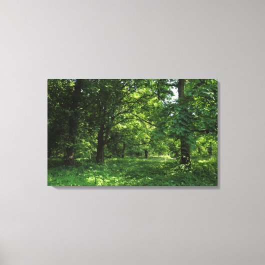 Lente in de Bossen 01 Canvas Afdruk (Voorkant)
