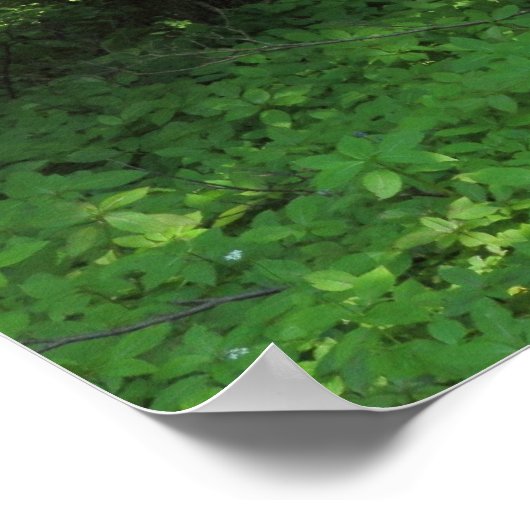 Lente in de Bossen 01 Poster (Hoek)