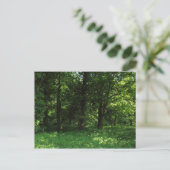 Lente in de Bossen 02 Briefkaart (Staand voorkant)