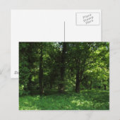 Lente in de Bossen 02 Briefkaart (Voorkant / Achterkant)