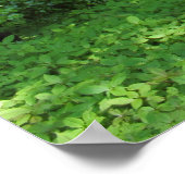 Lente in de Bossen 02 Poster (Hoek)