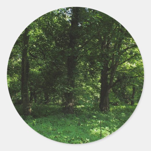 Lente in de Bossen 02 Ronde Sticker (Voorkant)