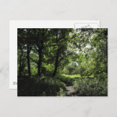 Lente in de Bossen 03 Briefkaart (Voorkant / Achterkant)