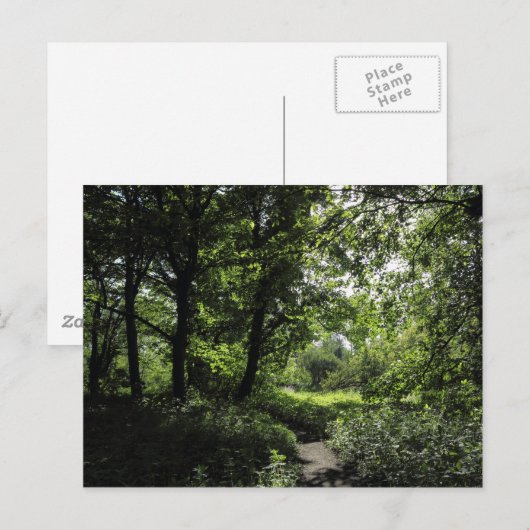 Lente in de Bossen 03 Briefkaart (Voorkant / Achterkant)