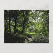 Lente in de Bossen 03 Briefkaart (Voorkant)