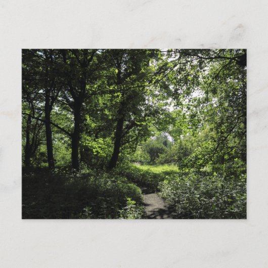 Lente in de Bossen 03 Briefkaart (Voorkant)