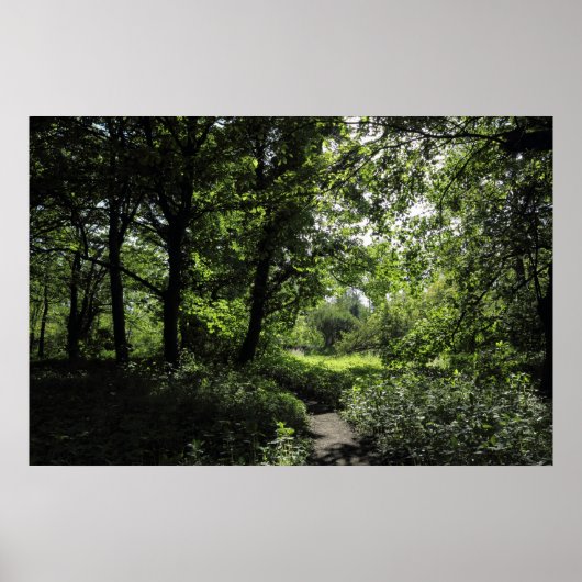 Lente in de Bossen 03 Poster (Voorkant)